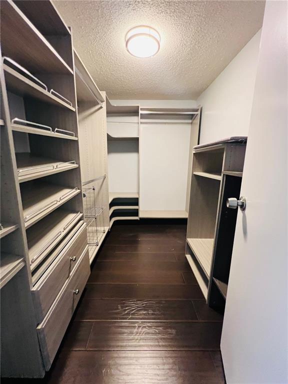 walk in closet featuring dark wood finished floors