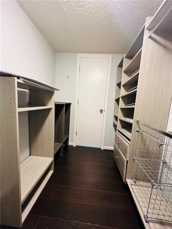 spacious closet featuring dark wood-type flooring