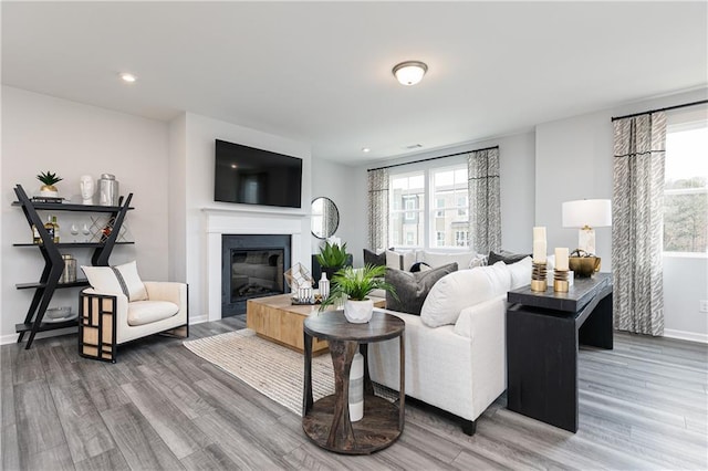 528 Aberdeen Mdw, Acworth, GA 30102 - living area with wood finished floors, recessed lighting, a glass covered fireplace, and a healthy amount of sunlight