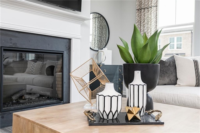 528 Aberdeen Mdw, Acworth, GA 30102 - room details featuring a glass covered fireplace