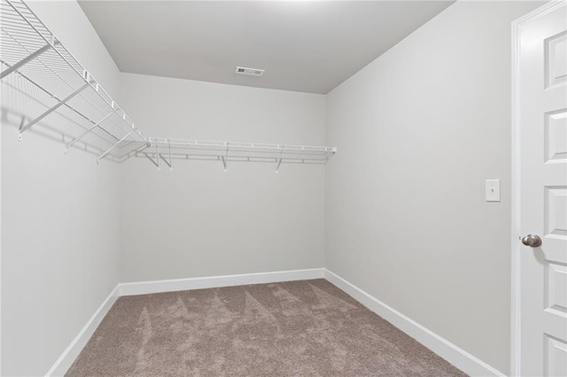 spacious closet featuring visible vents and carpet flooring