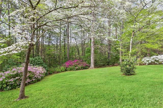 4086 Norton Pl SE, Smyrna, GA 30082 - view of yard featuring a view of trees