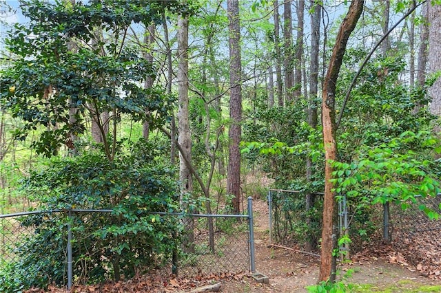 4086 Norton Pl SE, Smyrna, GA 30082 - view of gate featuring a view of trees and fence
