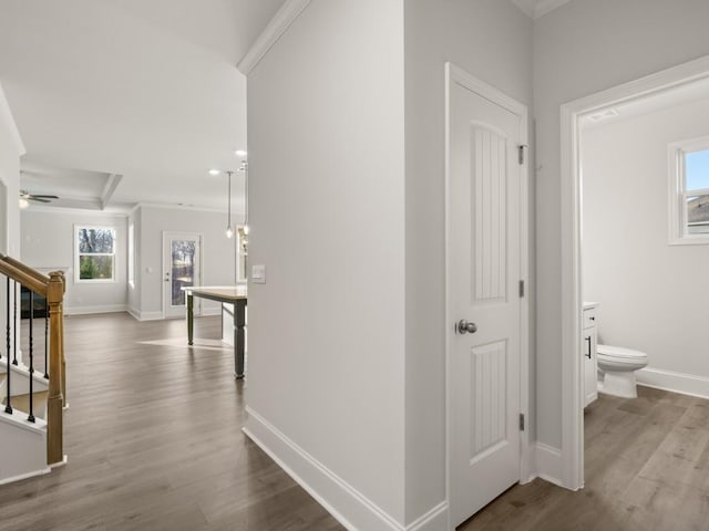 corridor with crown molding and light hardwood / wood-style floors