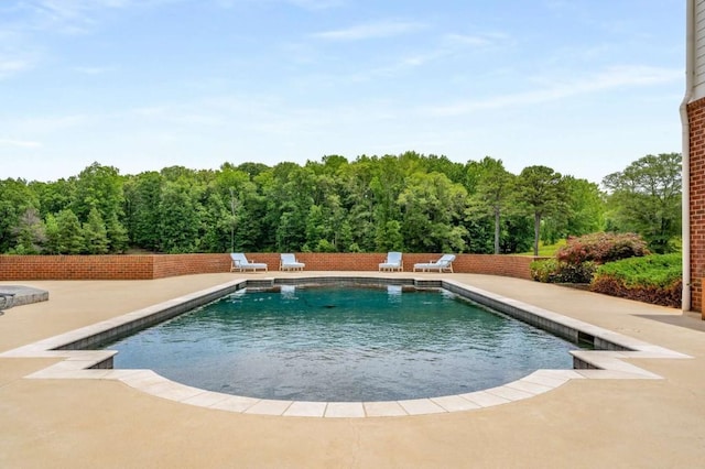 view of swimming pool featuring a patio area