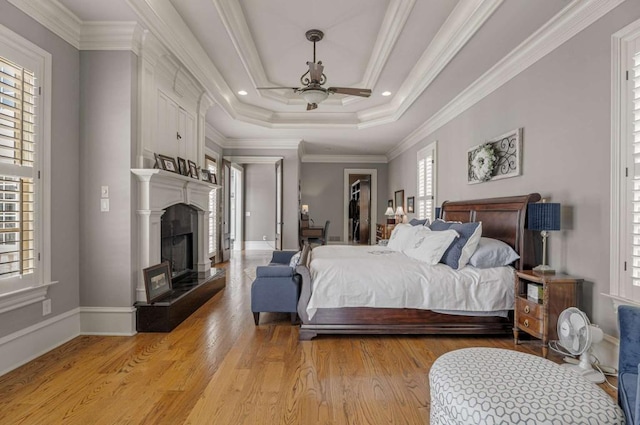 bedroom featuring a spacious closet, ceiling fan, light hardwood / wood-style floors, a tray ceiling, and ornamental molding