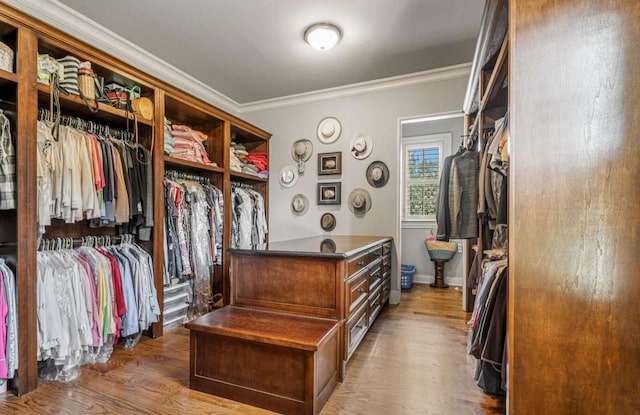 spacious closet with dark wood-type flooring