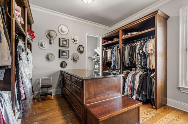 spacious closet with hardwood / wood-style flooring