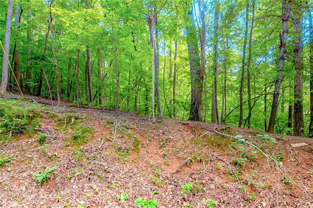 J350 Walnut Mtn, Ellijay, GA 30540