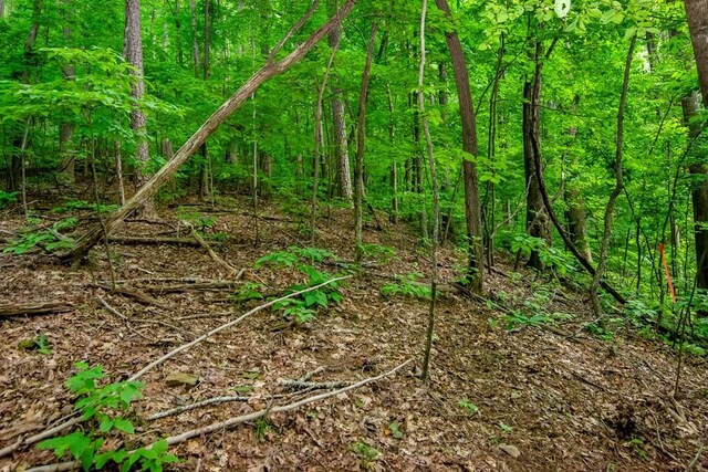 J350 Walnut Mtn, Ellijay, GA 30540