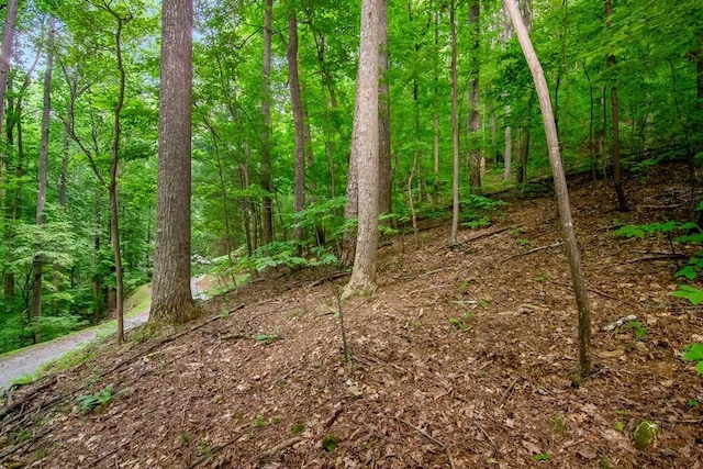 J350 Walnut Mtn, Ellijay, GA 30540