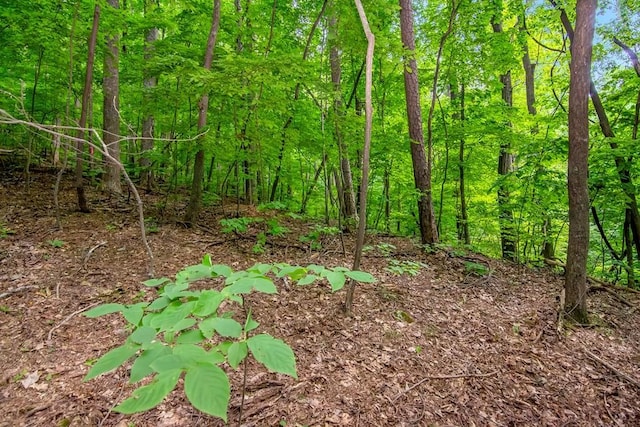 J350 Walnut Mtn, Ellijay, GA 30540