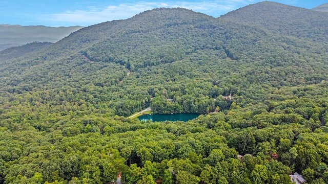 J350 Walnut Mtn, Ellijay, GA 30540