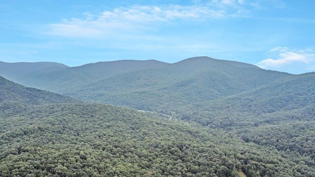 J350 Walnut Mtn, Ellijay, GA 30540