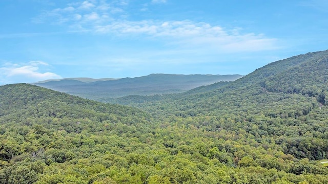 J350 Walnut Mtn, Ellijay, GA 30540