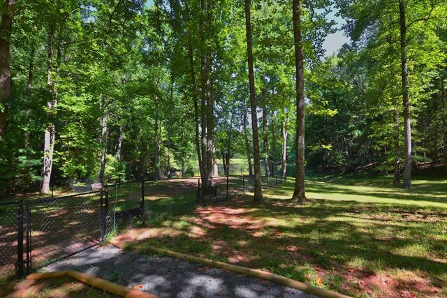 J350 Walnut Mtn, Ellijay, GA 30540