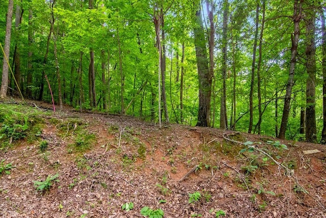 J350 Walnut Mtn, Ellijay, GA 30540