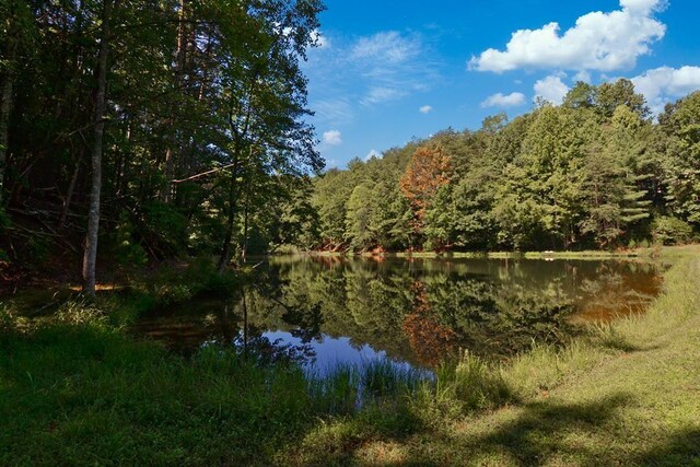 J350 Walnut Mtn, Ellijay, GA 30540