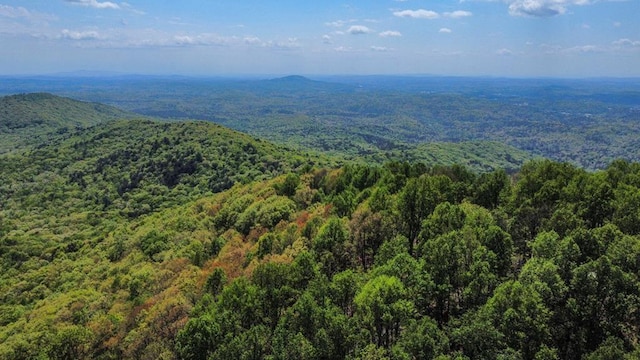 J350 Walnut Mtn, Ellijay, GA 30540