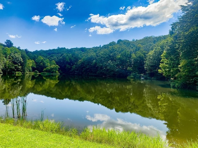 J350 Walnut Mtn, Ellijay, GA 30540