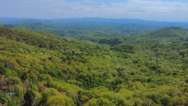 J350 Walnut Mtn, Ellijay, GA 30540
