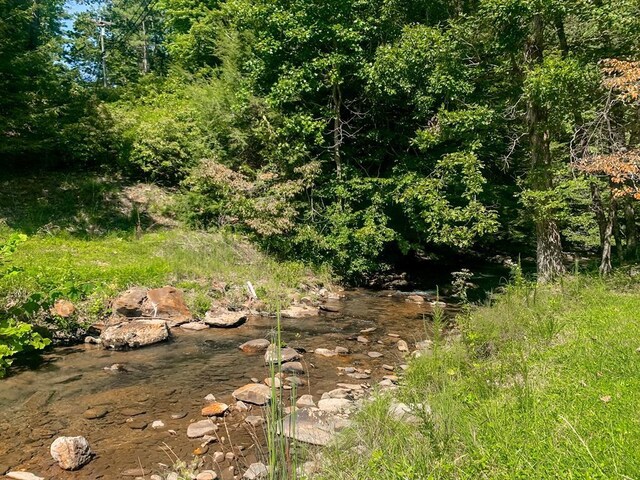 J350 Walnut Mtn, Ellijay, GA 30540