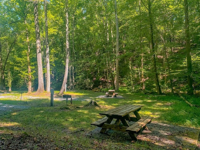 J350 Walnut Mtn, Ellijay, GA 30540