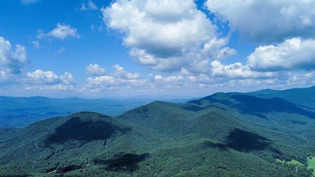 J350 Walnut Mtn, Ellijay, GA 30540
