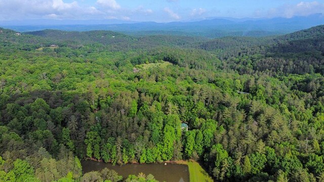 J350 Walnut Mtn, Ellijay, GA 30540