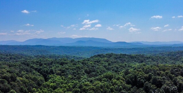 J350 Walnut Mtn, Ellijay, GA 30540