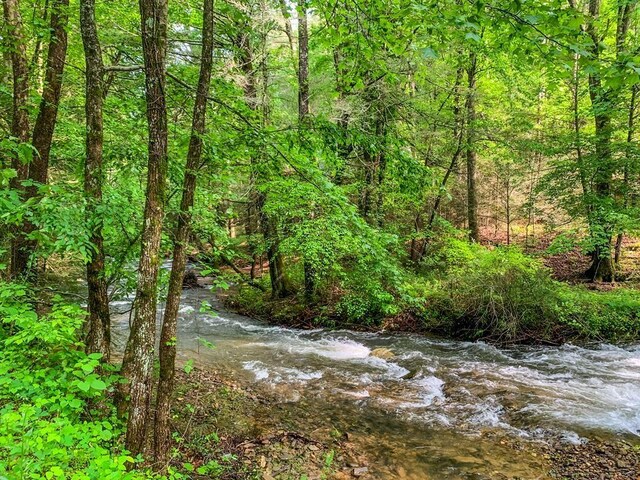 J350 Walnut Mtn, Ellijay, GA 30540