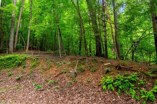 J350 Walnut Mtn, Ellijay, GA 30540