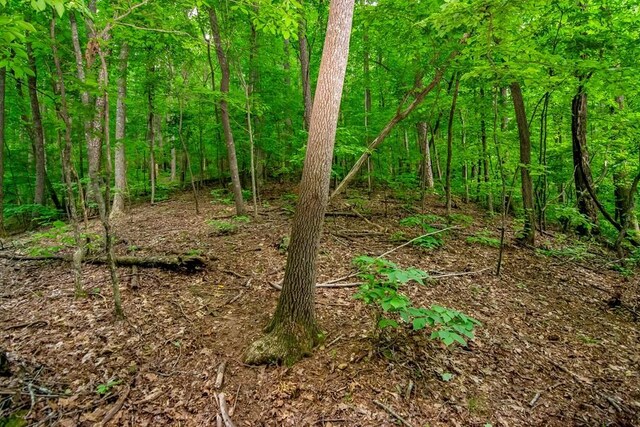 J350 Walnut Mtn, Ellijay, GA 30540