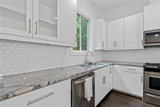 482 Pearl Cove Ct, Atlanta, GA 30350 - kitchen with stainless steel appliances, a sink, light stone countertops, dark wood-style floors, and glass insert cabinets