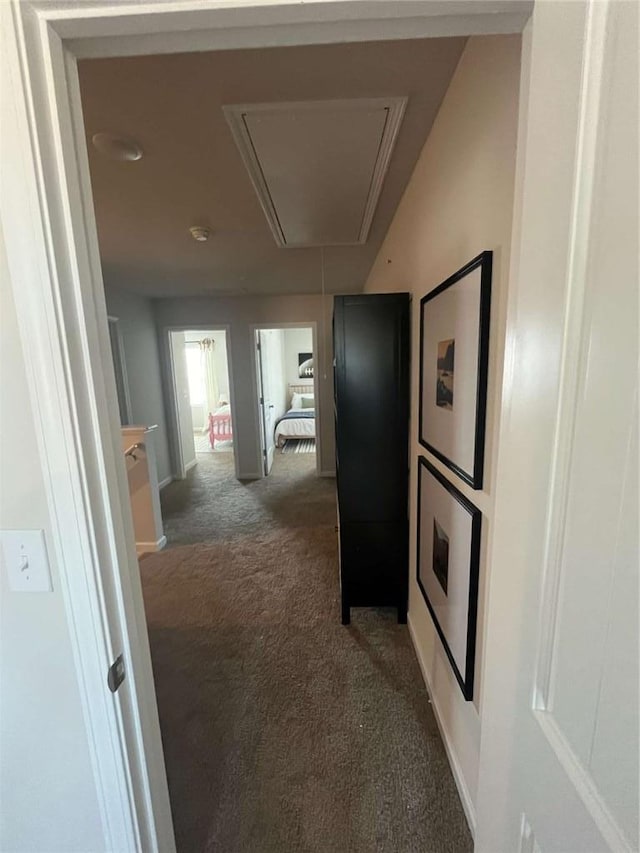 hallway featuring carpet floors and attic access