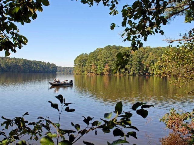 283 Rydal Way, Winder, GA 30680 - water view with a heavily wooded area