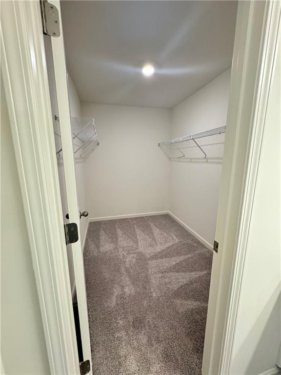 283 Rydal Way, Winder, GA 30680 - spacious closet with carpet