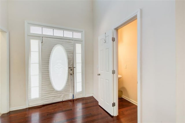 entryway featuring baseboards and wood-type flooring