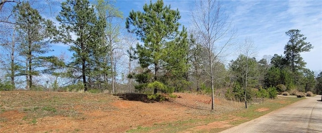 Listing photo 3 for 334 Edgewater Trl, Toccoa GA 30577