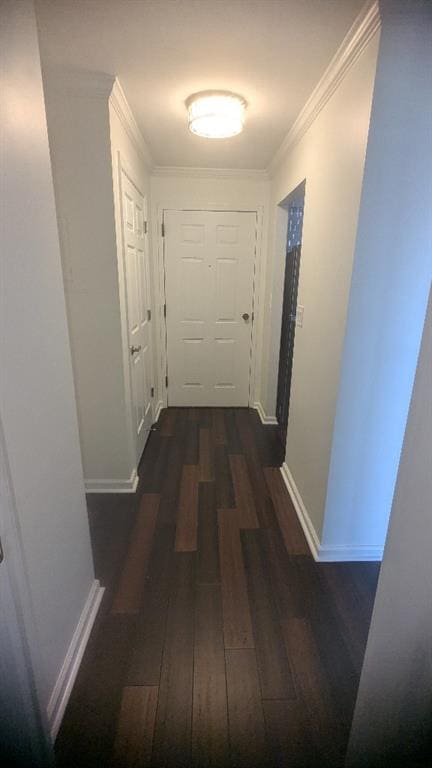 hallway with dark hardwood / wood-style flooring and crown molding