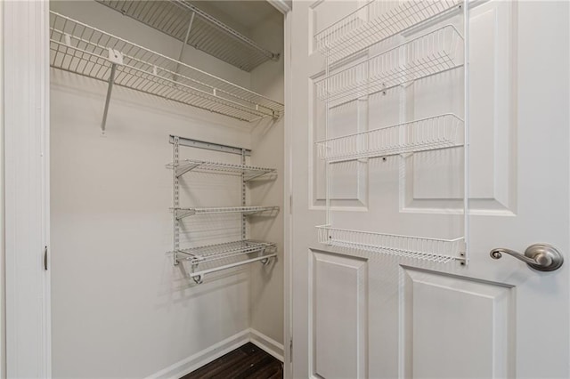 spacious closet featuring wood-type flooring