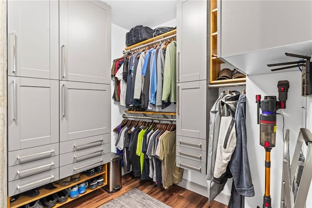 walk in closet featuring dark wood-style flooring and ceiling fan