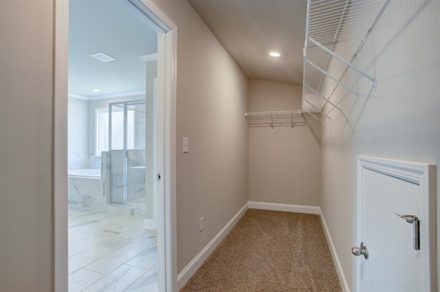 spacious closet featuring light carpet