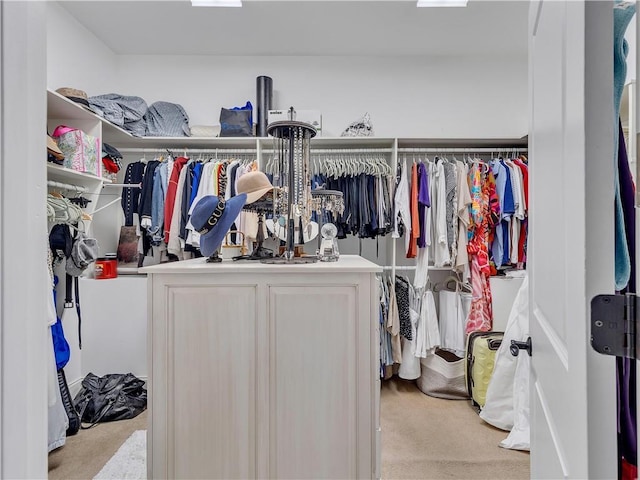 702 Cash Rd NE, Calhoun, GA 30701 - walk in closet featuring light colored carpet