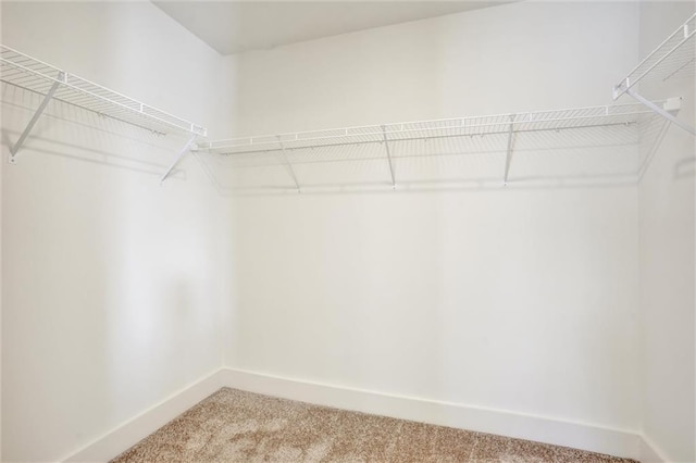 walk in closet featuring light colored carpet