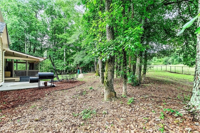 135 Crimson Rdg, Tyrone, GA 30290 - view of yard featuring a patio area