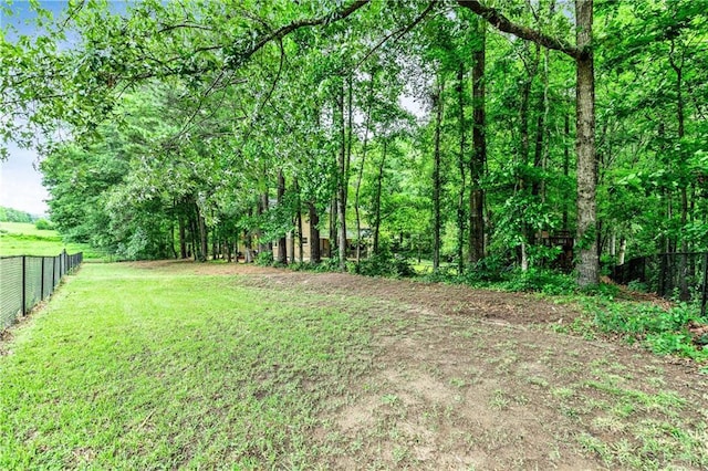 135 Crimson Rdg, Tyrone, GA 30290 - view of yard