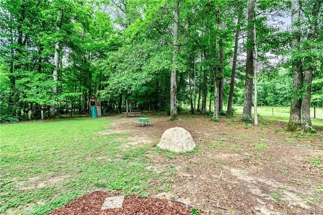 135 Crimson Rdg, Tyrone, GA 30290 - view of yard