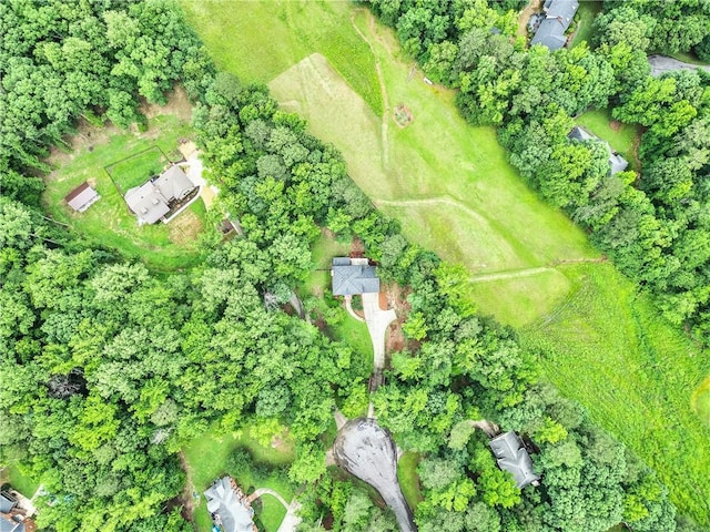 135 Crimson Rdg, Tyrone, GA 30290 - aerial overview of property's location