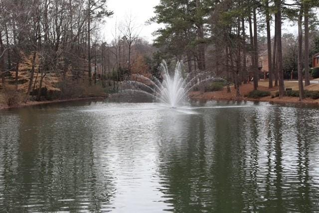 view of water feature